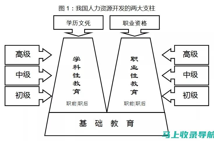 从职级角度看乡镇站长：如何划分及职责区分