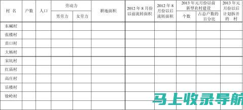 乡镇统计站长：数据收集、分析与报告的核心职责解析